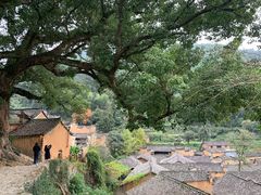 -杨家堂村