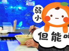 -石家庄极地海洋世界