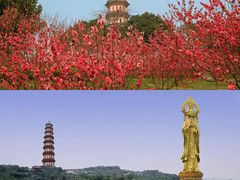 -广州莲花山旅游区