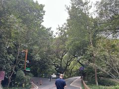 -西湖风景区十里琅珰-五云山