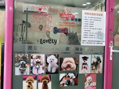 -全心全意连锁动物医院(石景山店)