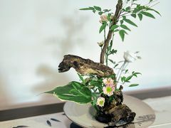 -天目湖御水温泉·度假酒店