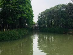 -乌镇东栅景区