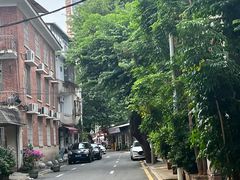 -溪岸路花鸟市场