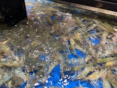 -亚马逊海鲜自助(梅溪湖步步高店)