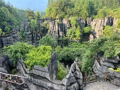 -梭布垭石林景区