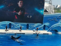 -上海海昌海洋公园