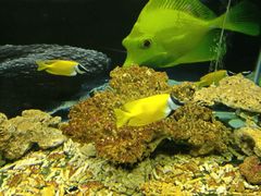 -泉州海丝野生动物世界