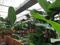 -汤山翠谷生态餐厅