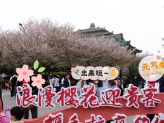 -武汉大学-樱园