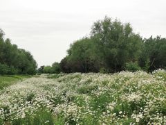 -汉长安城未央宫国家考古遗址公园