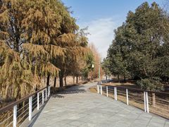 -同里国家湿地公园