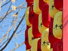 -牛首山文化旅游区