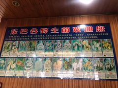 门面-东巴谷野生菌火锅餐厅