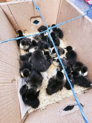 -大连市妇女儿童医疗中心(希望广场儿童院区)