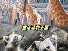 -长鹿旅游休博园
