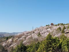 -白水寺森林公园