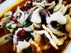 -焯明脆肉鲩世家(金沙洲店)