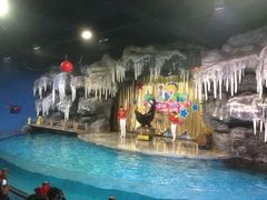 iphone_upload_pic-郑州海洋馆