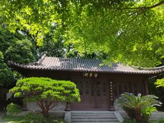 -团城山公园