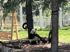 -西安秦岭野生动物园