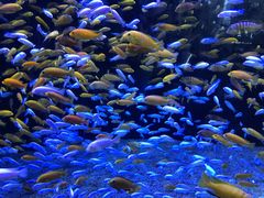 -成都浩海立方海洋公园