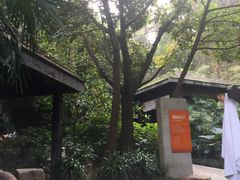 -融汇温泉