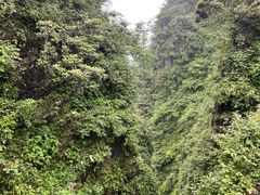 -峨眉山风景名胜区