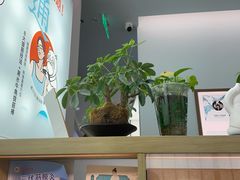 -长风拨筋养身(金虹桥店)