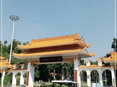 -深圳仙湖植物园-停车场