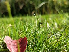 -昆山城市生态森林公园