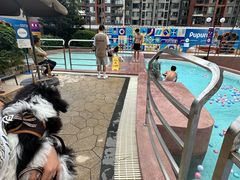 -帕帕拉兹宠物(亚洲旗舰店)