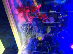 iphone_upload_pic-成都泰迪熊博物馆