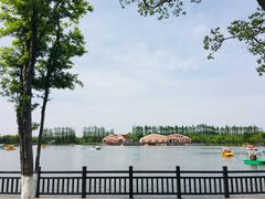 -上海长兴岛郊野公园