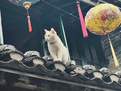 -前童古镇