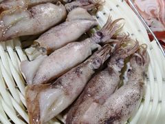 海兔子-元盛居(生态大街店)