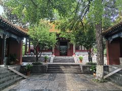 -戏马台景区