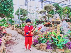 -南通洲际绿博园