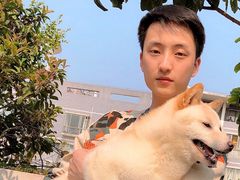 -喜柴咖啡·柴犬狗咖