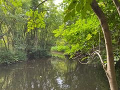 -大屏嶂森林公园