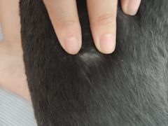 -小伙伴宠物医院•急重症转诊中心·老年专科·犬猫全科(北大街总院)