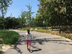 -永定河休闲森林公园