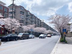 -永乐路-路侧停车场