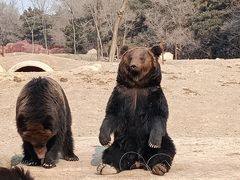 -沈阳森林动物园