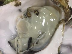 -蚝专家(北滘店)