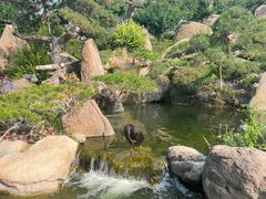 -罗红摄影艺术馆