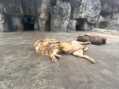-南昌动物园