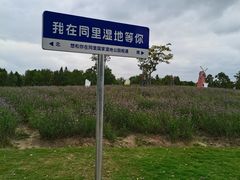 -同里国家湿地公园