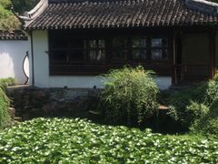 -上海醉白池公园