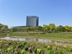 -春花秋色城市公园